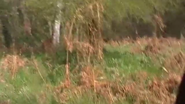 The G.A.C's Camping Trip смотреть онлайн