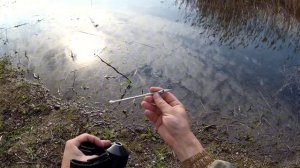 Сезон Открыт! Рыбалка на Рогатку :Первый улов - змееголов  + Беседа о снаряжении #2024#fishing#1k