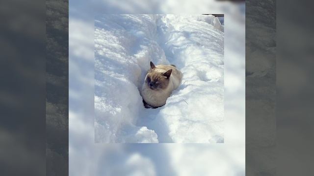 last Christmas ⛄ (speed up) смотреть онлайн