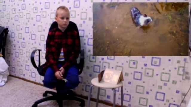 ЩЕНОК Юми ЗАЛЕЗЛА НА ДЕРЕВО! и СТАДО КОРОВ! ( Реакция Ученика Саши) смотреть онлайн
