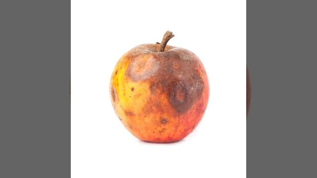 bad apple but its bad apple смотреть онлайн