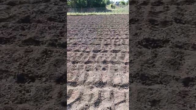 как снять видео про огород смотреть онлайн