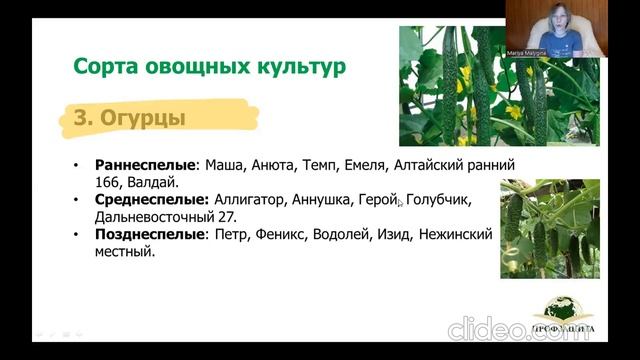 Тема 4 смотреть онлайн