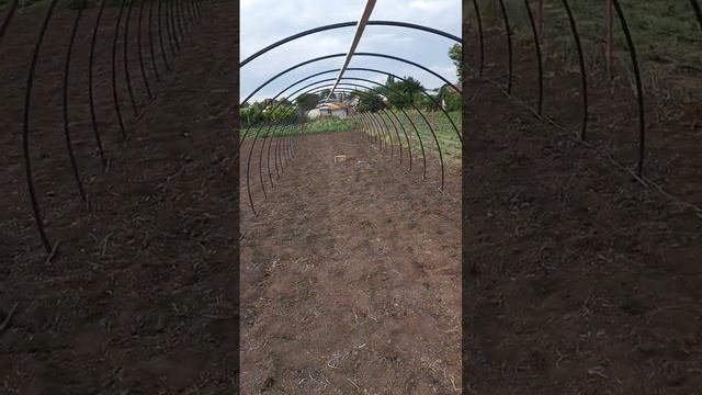 каркас первого балагана смотреть онлайн