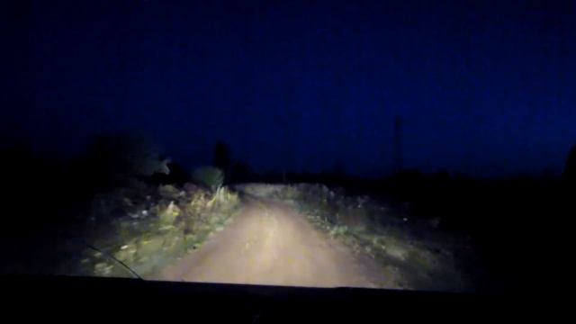 Встреча с лисой и совой смотреть онлайн