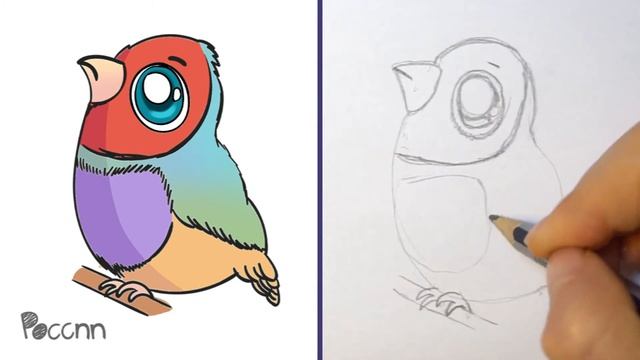 Cómo Dibujar Un Ave Llamada 