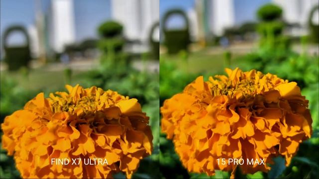 The New OPPO Find X7 ULTRA VS iPhone 15 Pro Max | Camera Test - oppo vs apple? смотреть онлайн