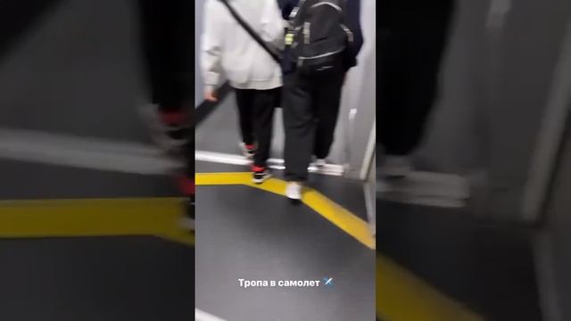 Элвин Грей и Инзиля улетели в ТАИЛАНД #элвингрей смотреть онлайн
