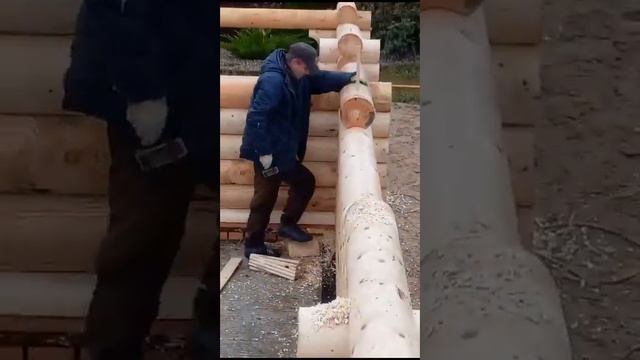 Сборка срубов из оцилиндрованного бревна смотреть онлайн