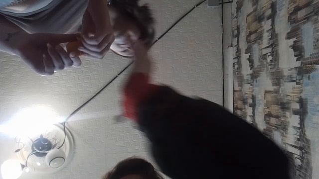 Киндер сюрприз rutube смотреть онлайн