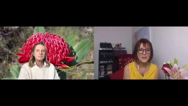 How Flower Essences Can support Us Stay Positive and feeling safe during challenging times смотреть онлайн