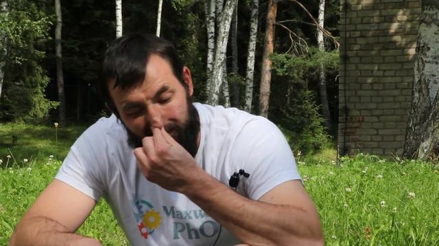 olphys Степушин смотреть онлайн