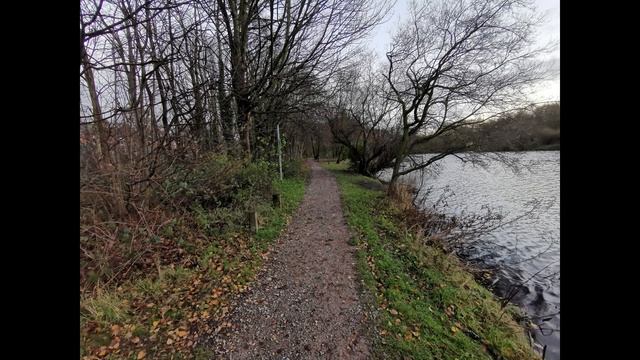 Convoy C8 SST40 Version