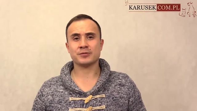 FERPLAST Swing Microchip - innowacyjne drzwiczki dla kotów смотреть онлайн