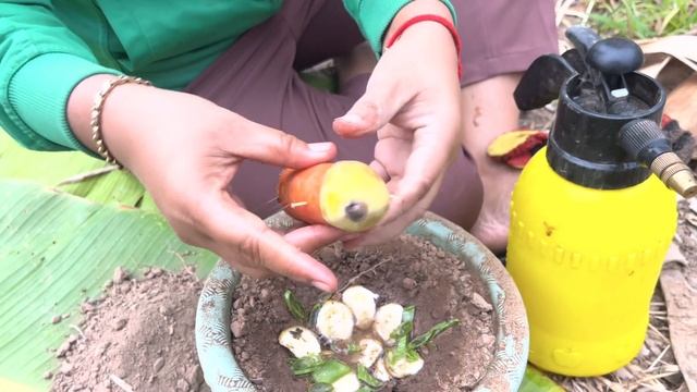 Special method of planting carrots to bear fruit on banana trees смотреть онлайн