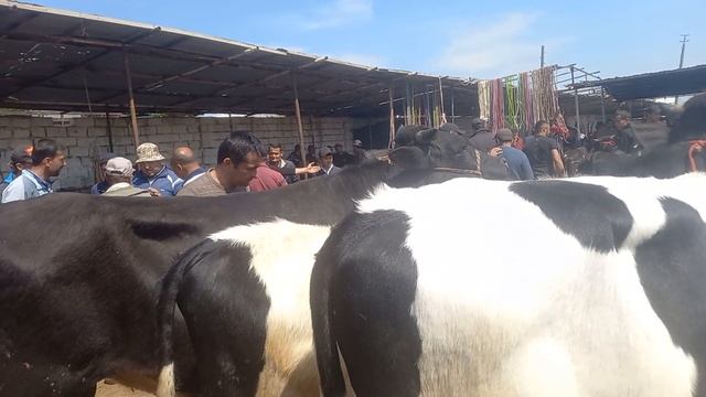 МОЛБОЗОРИ ХУДЖАНД  🤷♂️🤝👍апреля 2023 г.