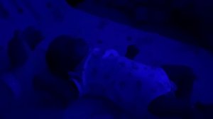 Vlog Родила👩🏼🍼 Кого я родила? День в роддоме с реборном Выписка из роддома 2024 reborn baby boy