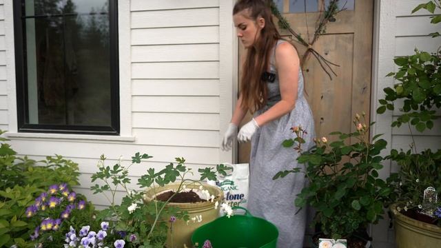 Planting Beautiful Summer Containers with Roses, Vines, and Seedlings! смотреть онлайн