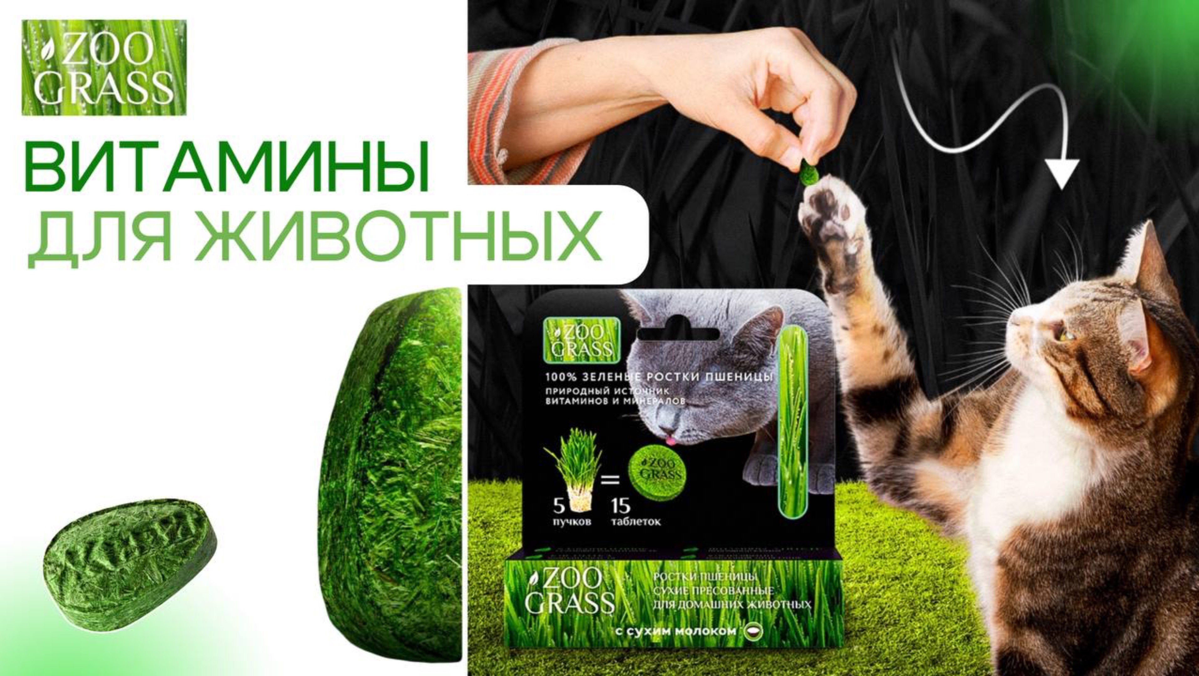 Натуральные витамины для животных: жкт, линька, энергия, укрепление когтей и костей, иммунитет🌱 смотреть онлайн