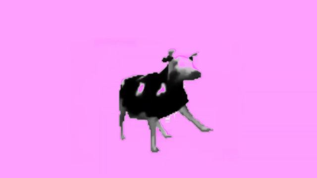 Doja Dancing Polish Cow