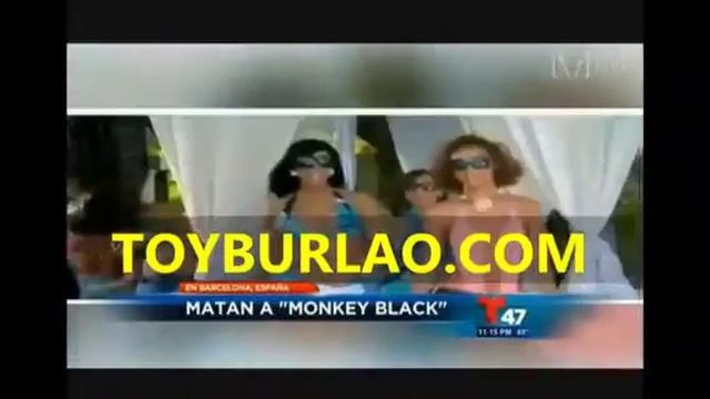 Monkey black asesinado смотреть онлайн