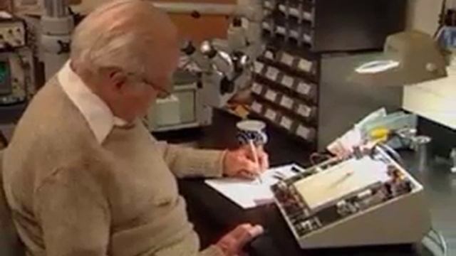 Dr. David Hubel смотреть онлайн