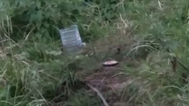 Видео Друзей смотреть онлайн