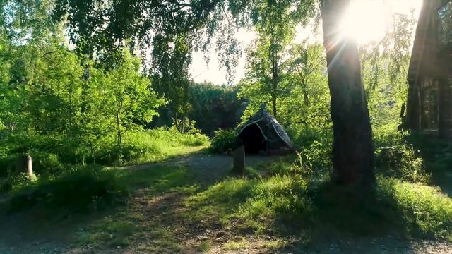 УРМАН Лесные Решения URMAN смотреть онлайн