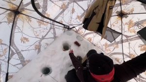 Ловля малоротой корюшки на гирлянды. Как ловить и на что.