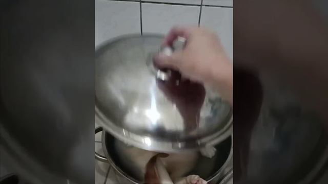 КОТИКИ и не только