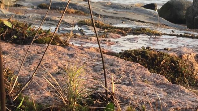 Jarmo Louvo: Syystunnelma смотреть онлайн