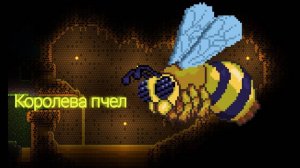 как убить королеву пчёл в террарии на класике