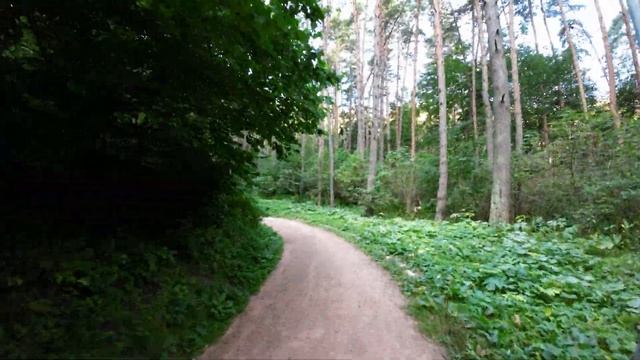 Кисловодск. Рано утром в парке. Прогулка на электровелосипеде. смотреть онлайн