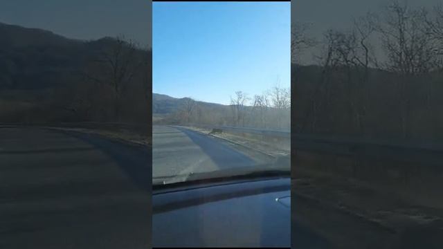 Дикий леопард попал на видео на автодороге в Приморье смотреть онлайн