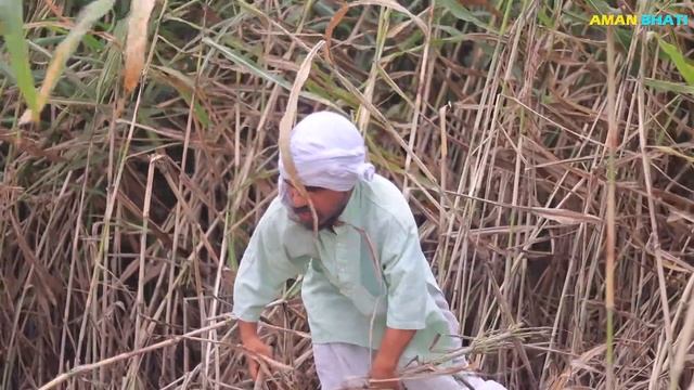 Baba Ki Bhootni | Aman Bhati смотреть онлайн