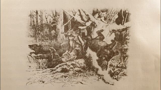 Русская народная сказка. «Как Лиса за Котом замужем жила». смотреть онлайн