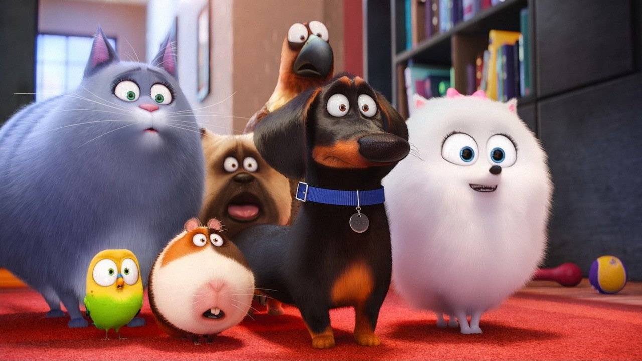 Тайная жизнь домашних животных 2 - The Secret Life of Pets 2 смотреть онлайн