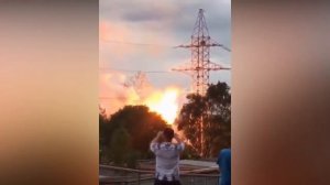 Замыкание ВЛ 110 кВ через дерево