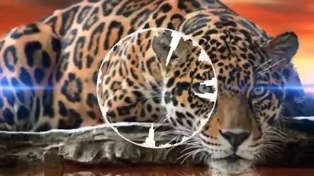 Best EDM 2023 Playlist - Electronic Dance Music 2023 Mix (Top EDM Music 2023-2024)