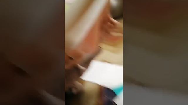 та самая однакласница у которой всё есть мне помогал двоюродный брат😅 смотреть онлайн