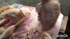 пора убирать индюков