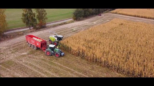 New Claas Jaguar 850 & Claas Orbis 600 | Corn Silage 2021 смотреть онлайн
