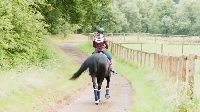 HOW TO SCHOOL A HORSE WITHOUT AN ARENA - DMA TV EP 337 | Off The Arena смотреть онлайн