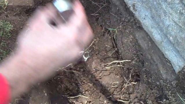 Moving Broken Sprinkler Head with New Sprinkler Head and Swing Joint смотреть онлайн