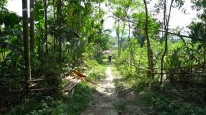 FULL VIDEO: Harvest Many Fish, Peanuts, Squash Go To Countryside Market Sell || Free Bushcraft