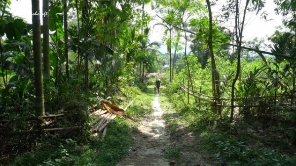 FULL VIDEO: Harvest Many Fish, Peanuts, Squash Go To Countryside Market Sell || Free Bushcraft