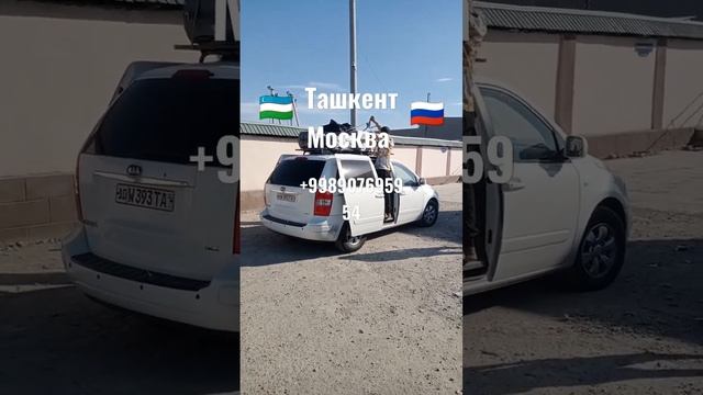 Автобус Ташкент Москва смотреть онлайн