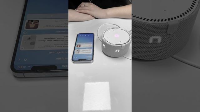 Алиса, включи музыку смотреть онлайн