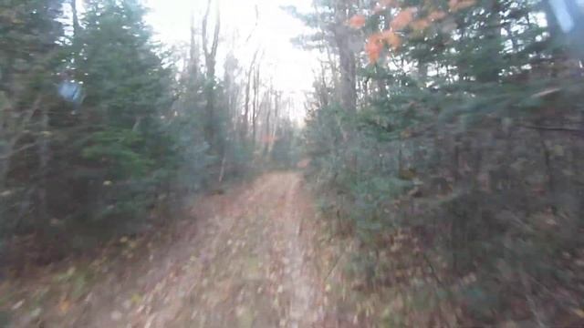 Дорога на реку Дихтанга.1 смотреть онлайн