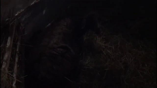 ОБЗОР ОТАРЫ